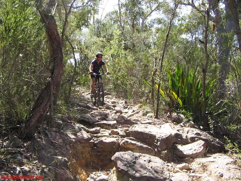 20080921-Mooney 109.jpg